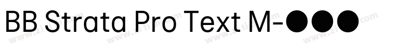 BB Strata Pro Text M字体转换